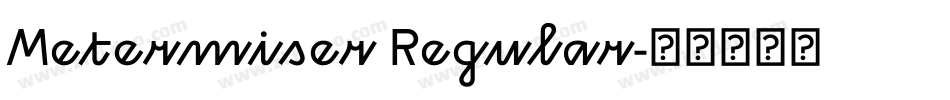Metermiser Regular字体转换